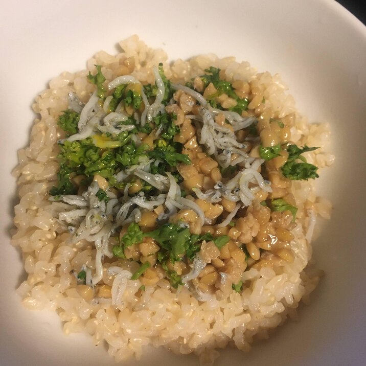 パセリとしらすの玄米ひきわり納豆丼